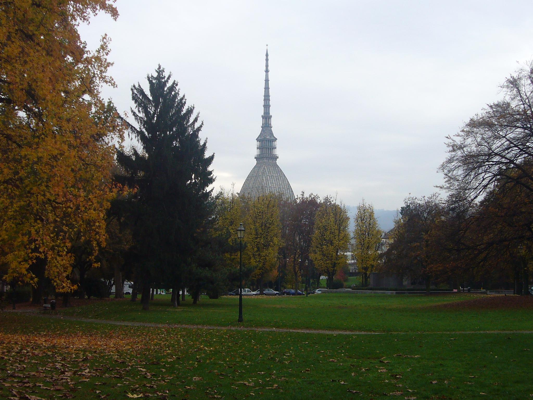 Turin
